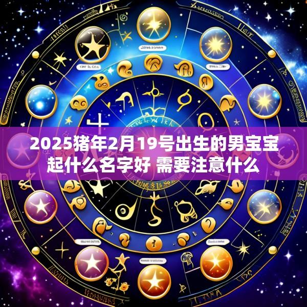 2025猪年2月19号出生的男宝宝起什么名字好 需要注意什么