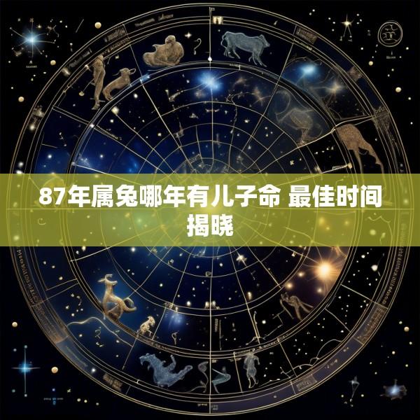 87年属兔哪年有儿子命 最佳时间揭晓