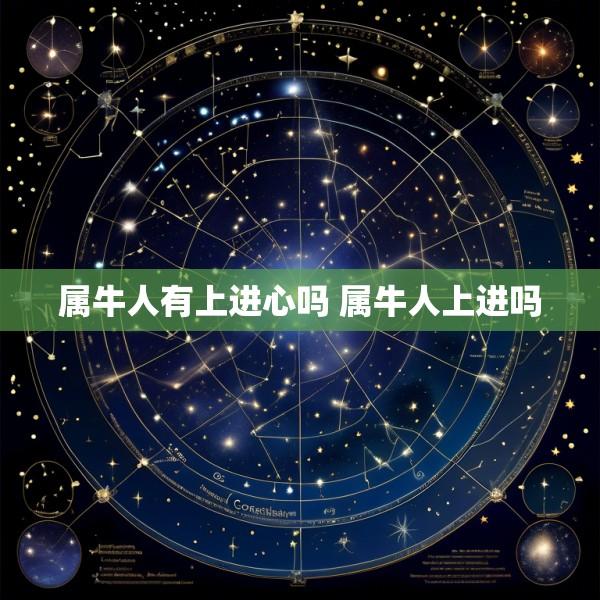 属牛人有上进心吗 属牛人上进吗