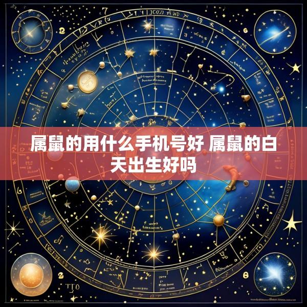 属鼠的用什么手机号好 属鼠的白天出生好吗