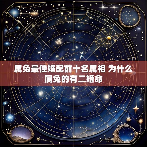 属兔最佳婚配前十名属相 为什么属兔的有二婚命