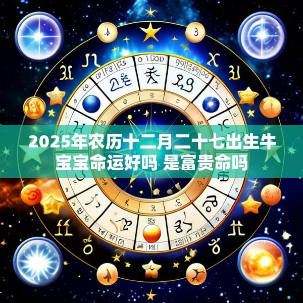 2025年农历十二月二十七出生牛宝宝命运好吗 是富贵命吗