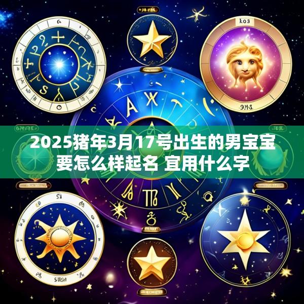 2025猪年3月17号出生的男宝宝要怎么样起名 宜用什么字