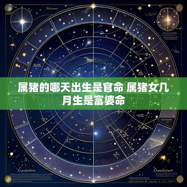 属猪的哪天出生是官命 属猪女几月生是富婆命