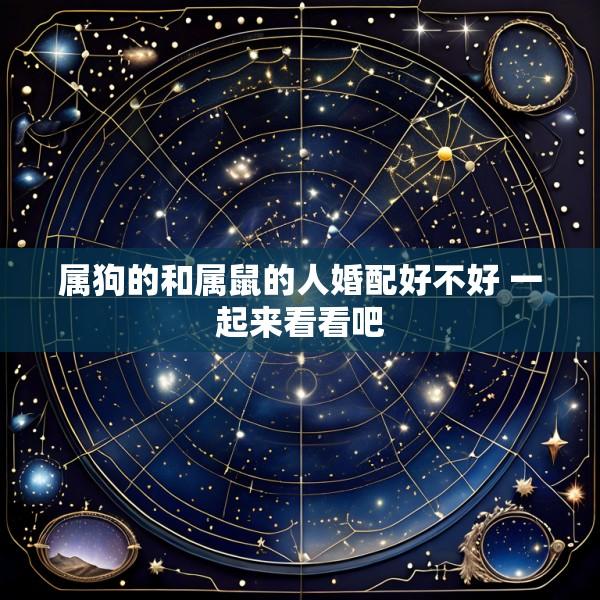 属狗的和属鼠的人婚配好不好 一起来看看吧
