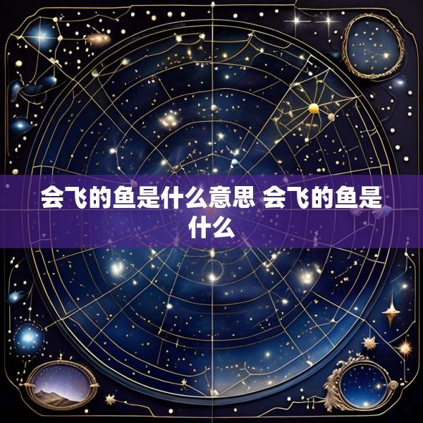 会飞的鱼是什么意思 会飞的鱼是什么