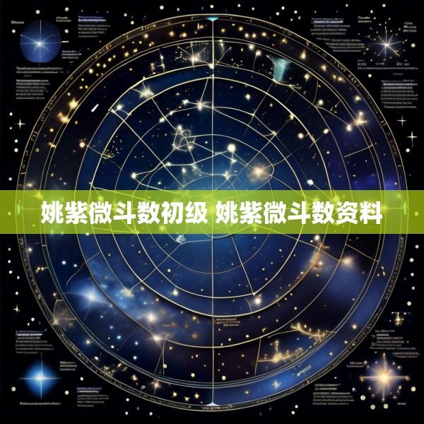 姚紫微斗数初级 姚紫微斗数资料