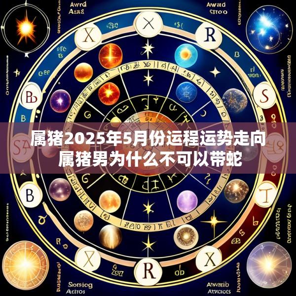 属猪2025年5月份运程运势走向 属猪男为什么不可以带蛇