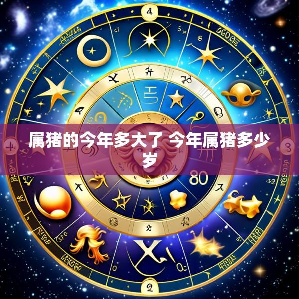 属猪的今年多大了 今年属猪多少岁