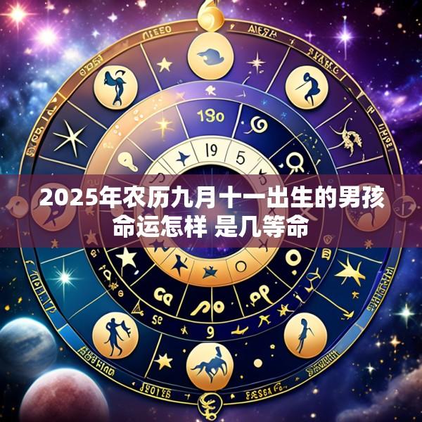 2025年农历九月十一出生的男孩命运怎样 是几等命
