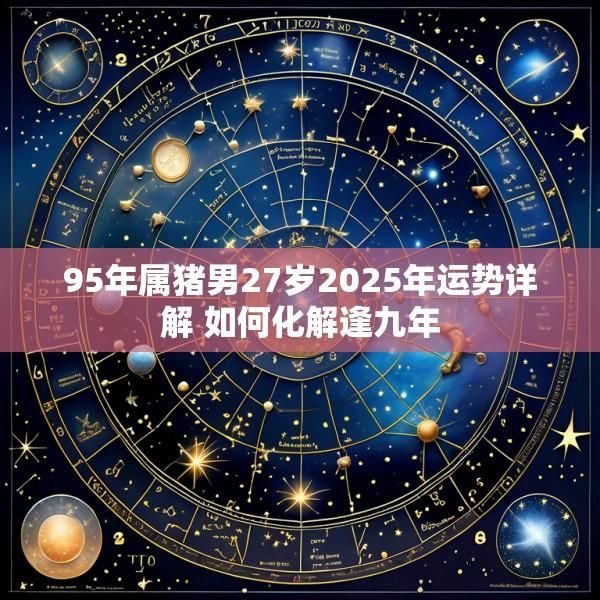 95年属猪男27岁2025年运势详解 如何化解逢九年