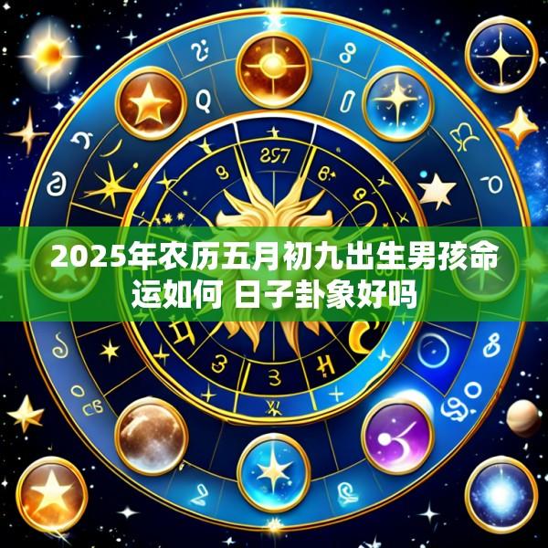 2025年农历五月初九出生男孩命运如何 日子卦象好吗