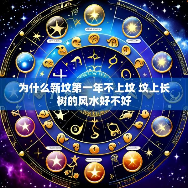 为什么新坟第一年不上坟 坟上长树的风水好不好