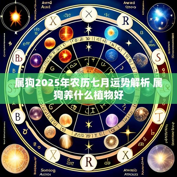 属狗2025年农历七月运势解析 属狗养什么植物好