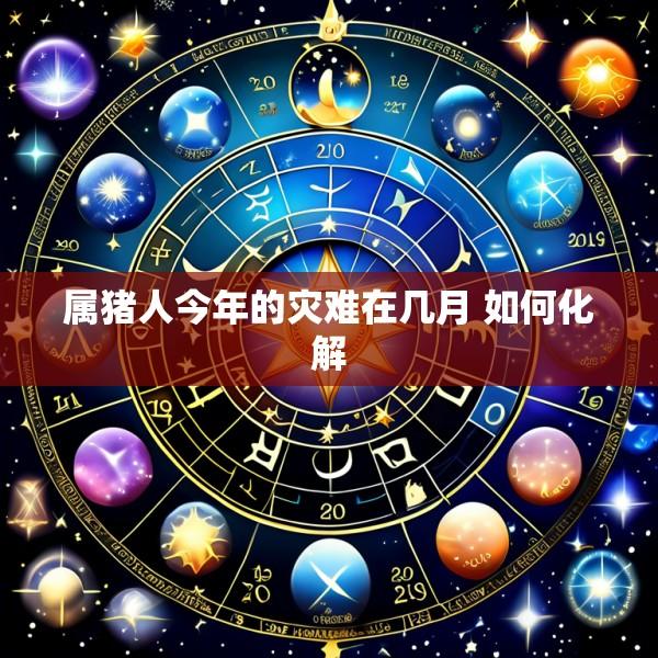属猪人今年的灾难在几月 如何化解