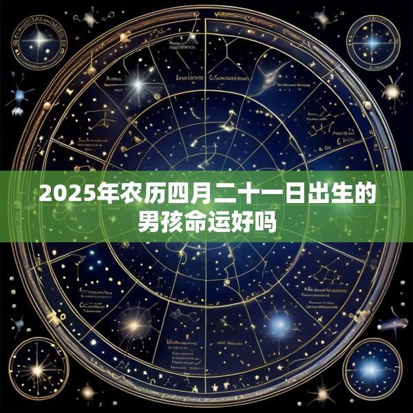 2025年农历四月二十一日出生的男孩命运好吗