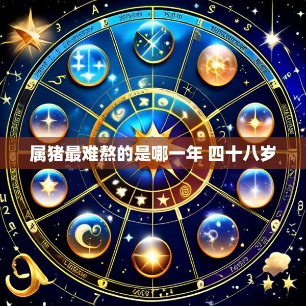 属猪最难熬的是哪一年 四十八岁