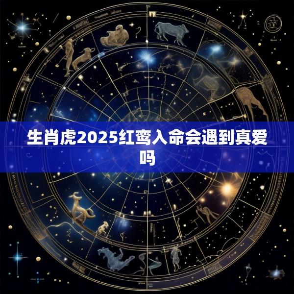 生肖虎2025红鸾入命会遇到真爱吗