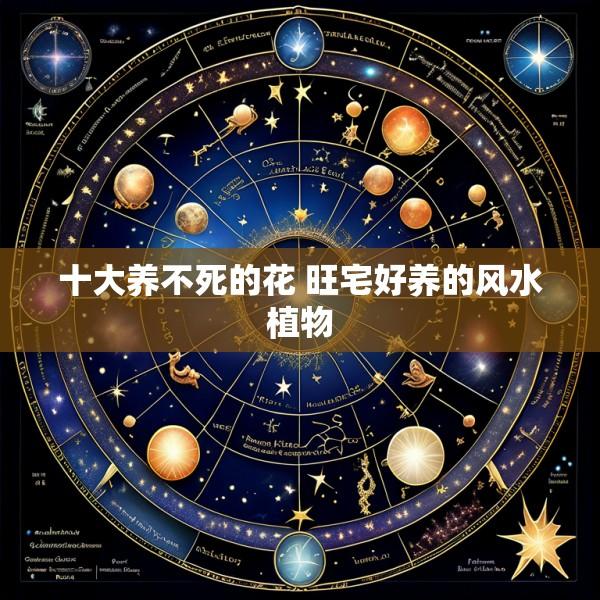 十大养不死的花 旺宅好养的风水植物