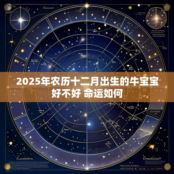 2025年农历十二月出生的牛宝宝好不好 命运如何