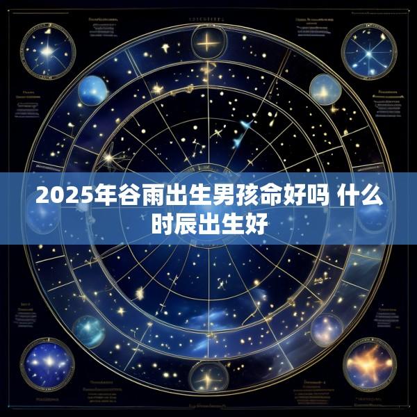 2025年谷雨出生男孩命好吗 什么时辰出生好