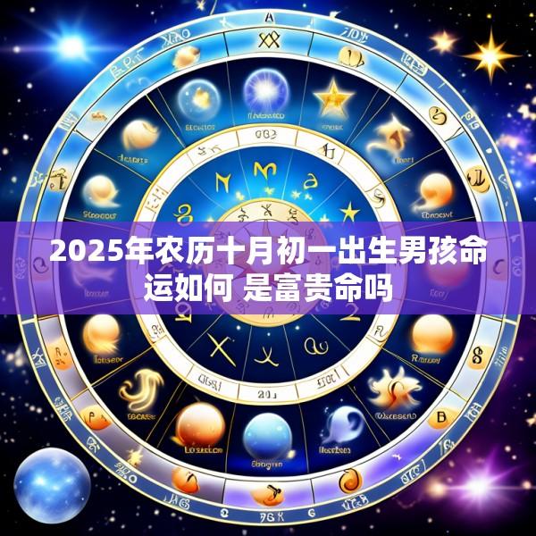 2025年农历十月初一出生男孩命运如何 是富贵命吗