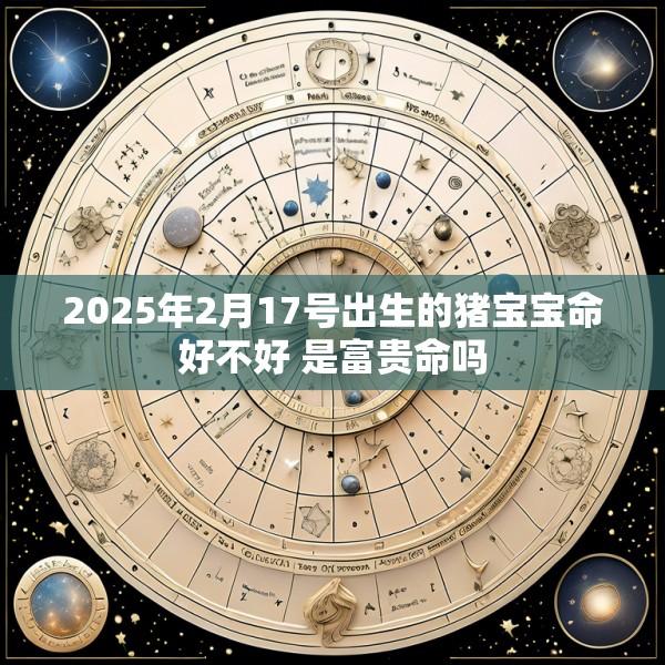 2025年2月17号出生的猪宝宝命好不好 是富贵命吗