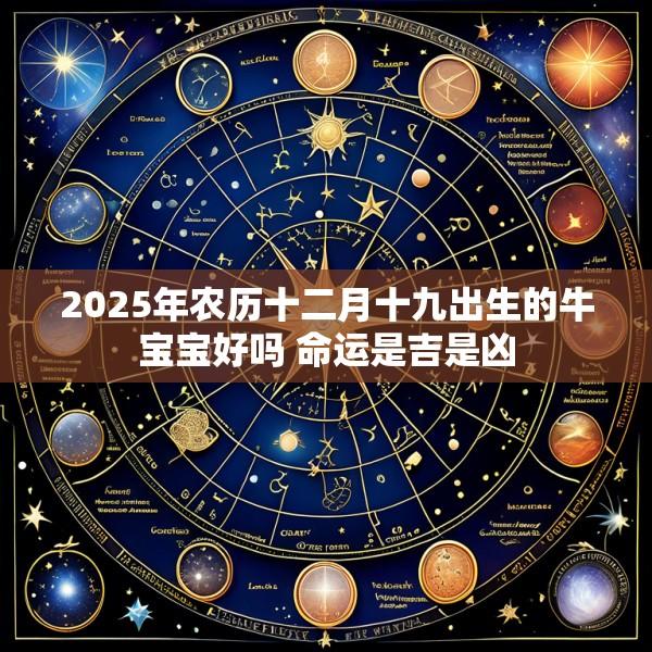 2025年农历十二月十九出生的牛宝宝好吗 命运是吉是凶
