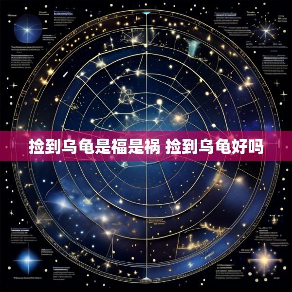 捡到乌龟是福是祸 捡到乌龟好吗
