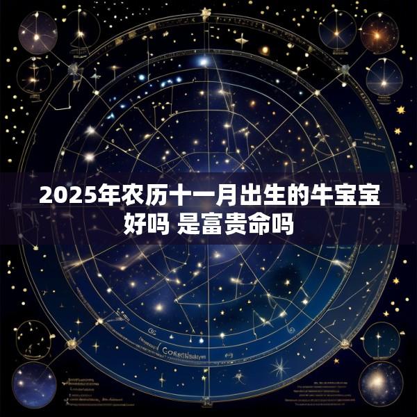 2025年农历十一月出生的牛宝宝好吗 是富贵命吗