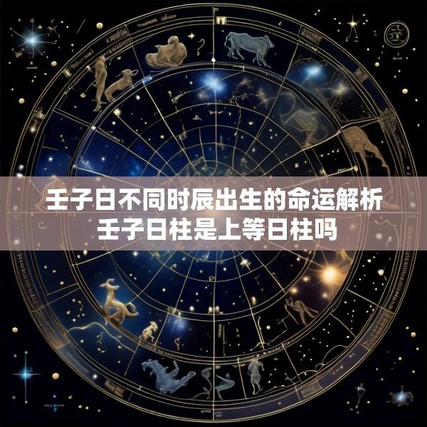 壬子日不同时辰出生的命运解析 壬子日柱是上等日柱吗