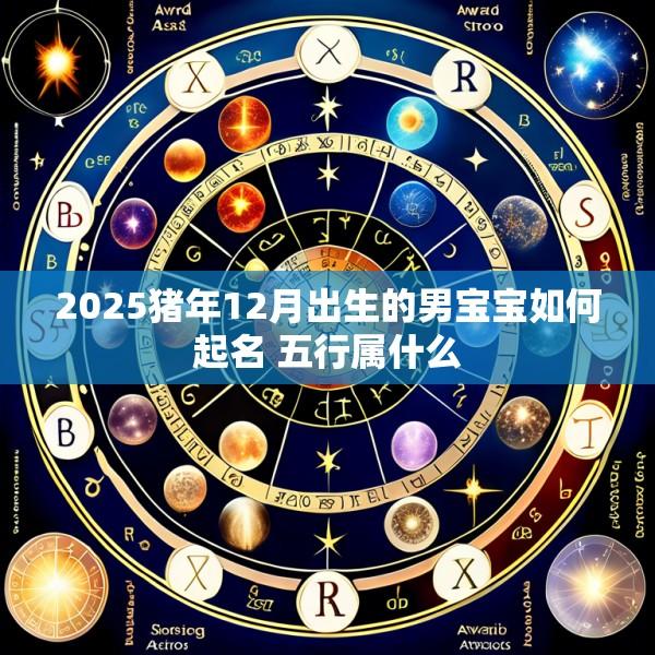 2025猪年12月出生的男宝宝如何起名 五行属什么
