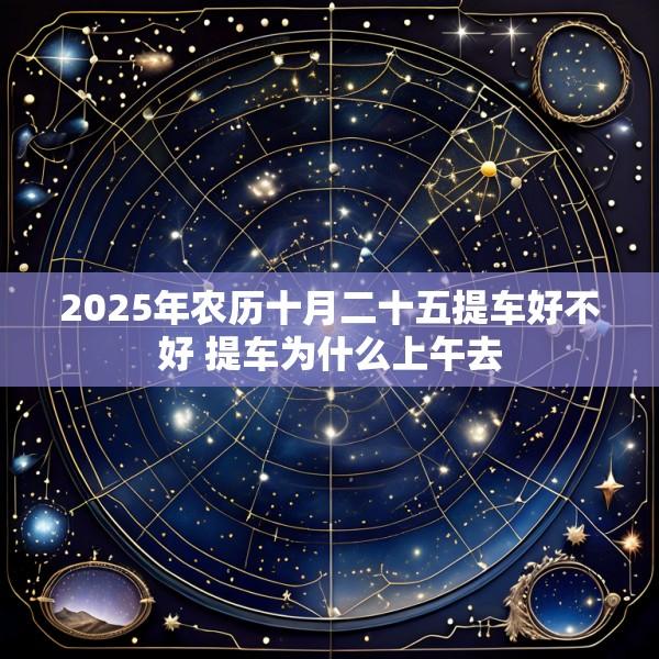 2025年农历十月二十五提车好不好 提车为什么上午去
