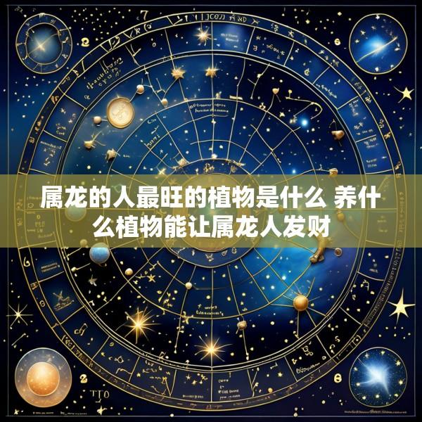 属龙的人最旺的植物是什么 养什么植物能让属龙人发财