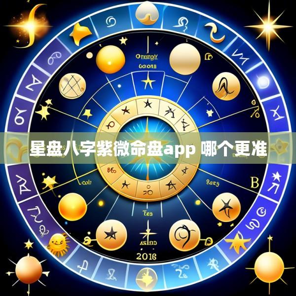 星盘八字紫微命盘app 哪个更准