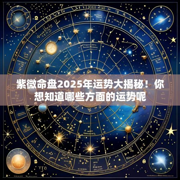 紫微命盘2025年运势大揭秘！你想知道哪些方面的运势呢