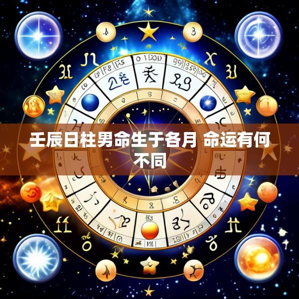 壬辰日柱男命生于各月 命运有何不同
