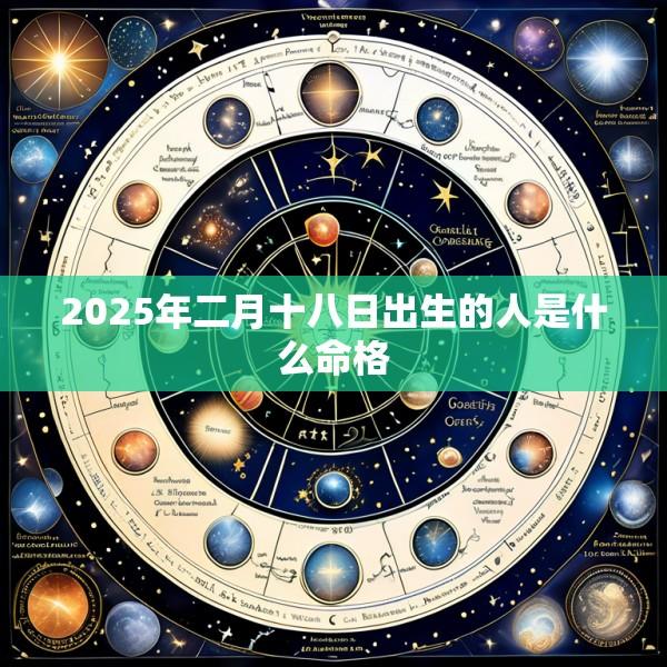 2025年二月十八日出生的人是什么命格