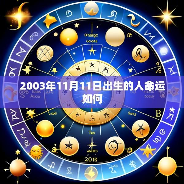 2003年11月11日出生的人命运如何
