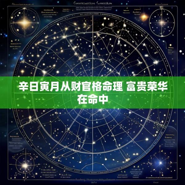 辛日寅月从财官格命理 富贵荣华在命中
