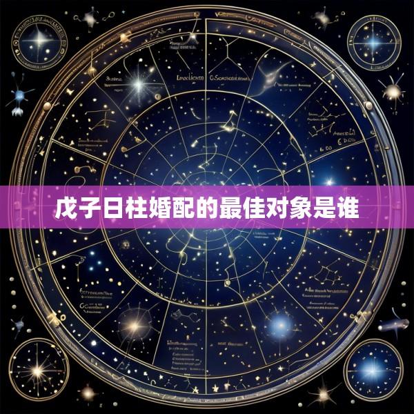 戊子日柱婚配的最佳对象是谁