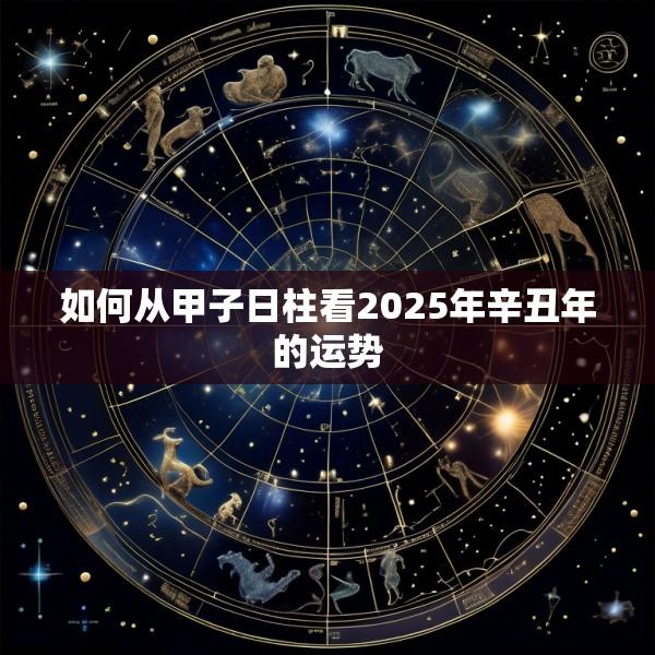 如何从甲子日柱看2025年辛丑年的运势