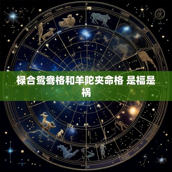 禄合鸳鸯格和羊陀夹命格 是福是祸