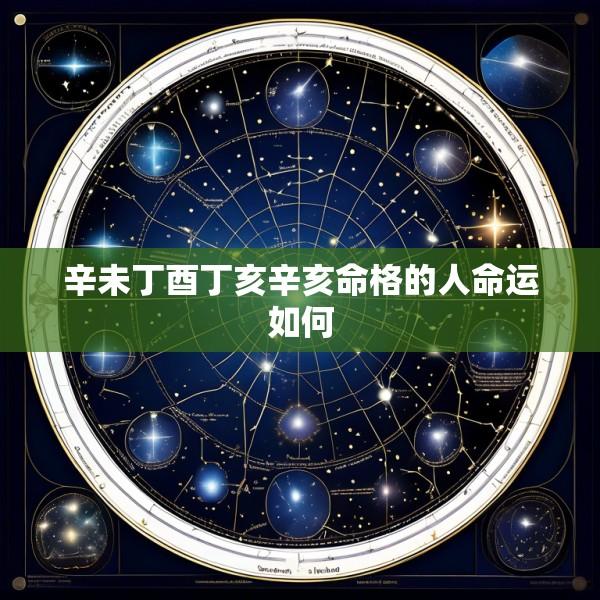 辛未丁酉丁亥辛亥命格的人命运如何