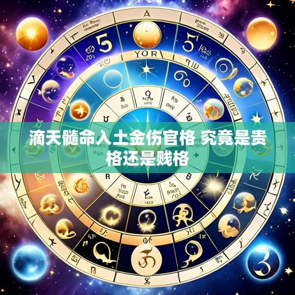 滴天髓命入土金伤官格 究竟是贵格还是贱格