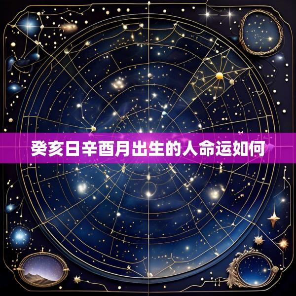 癸亥日辛酉月出生的人命运如何