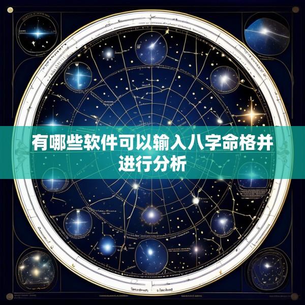 有哪些软件可以输入八字命格并进行分析