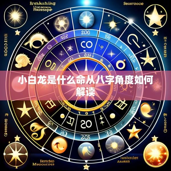 小白龙是什么命从八字角度如何解读