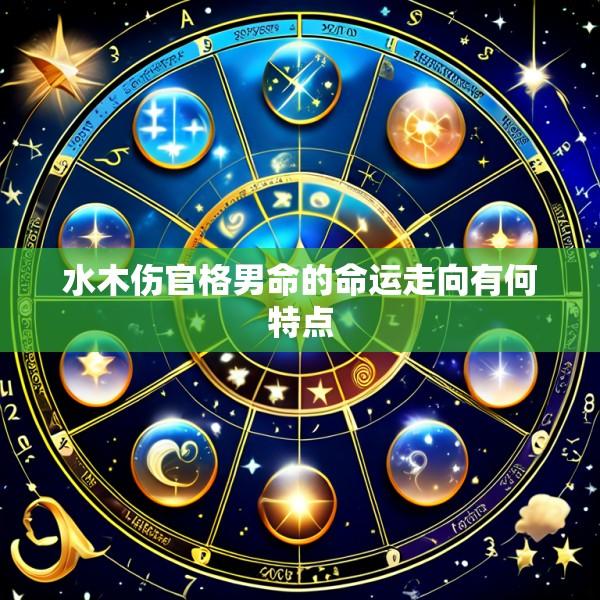 水木伤官格男命的命运走向有何特点