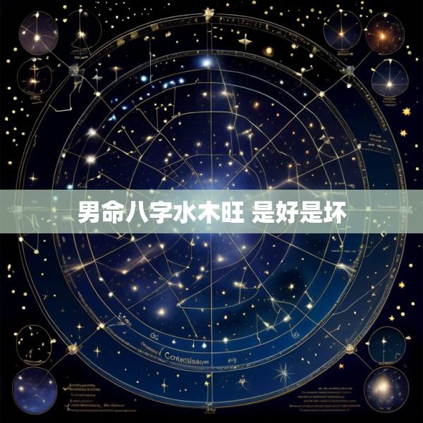 男命八字水木旺 是好是坏